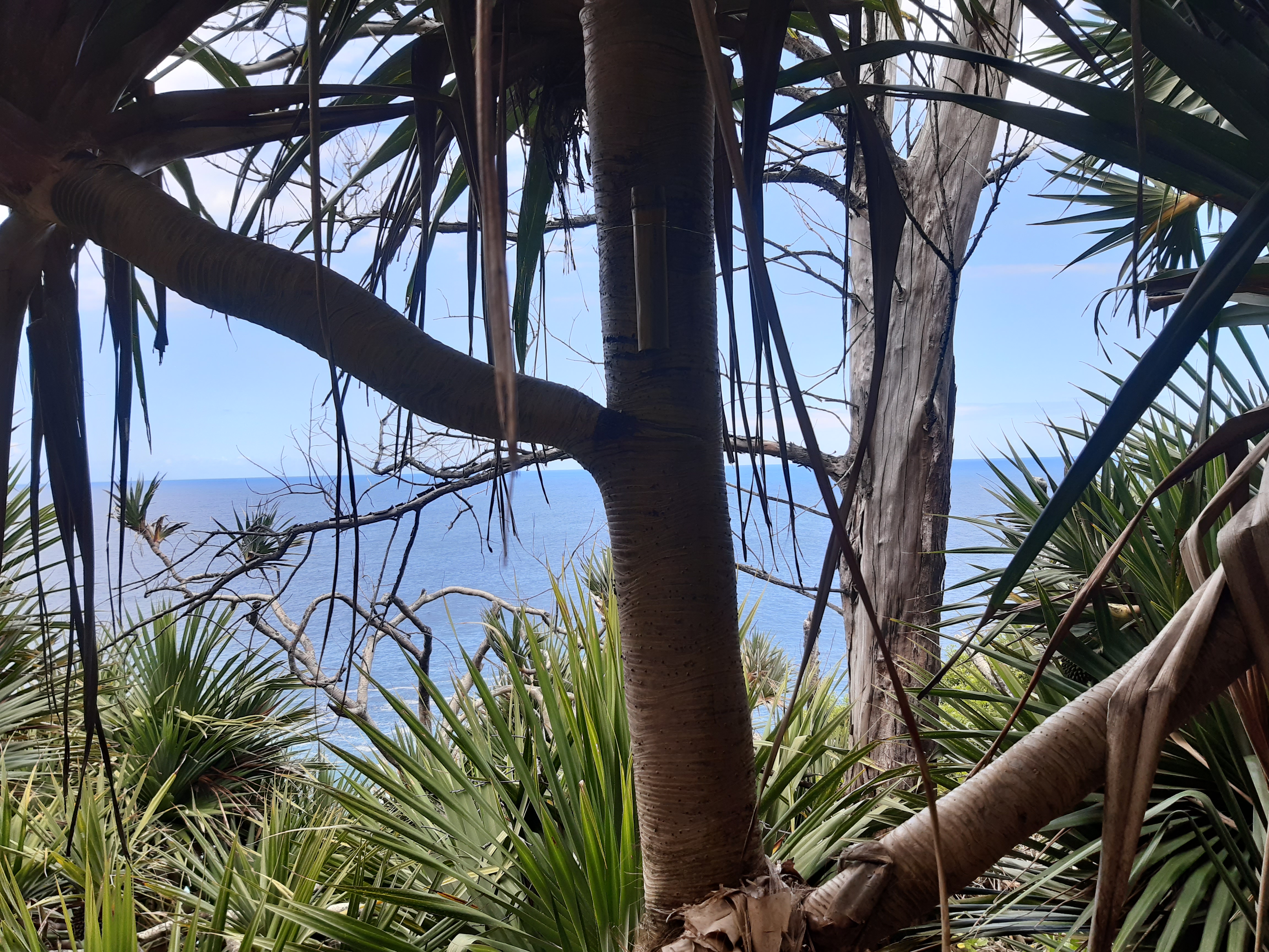 bord de plage