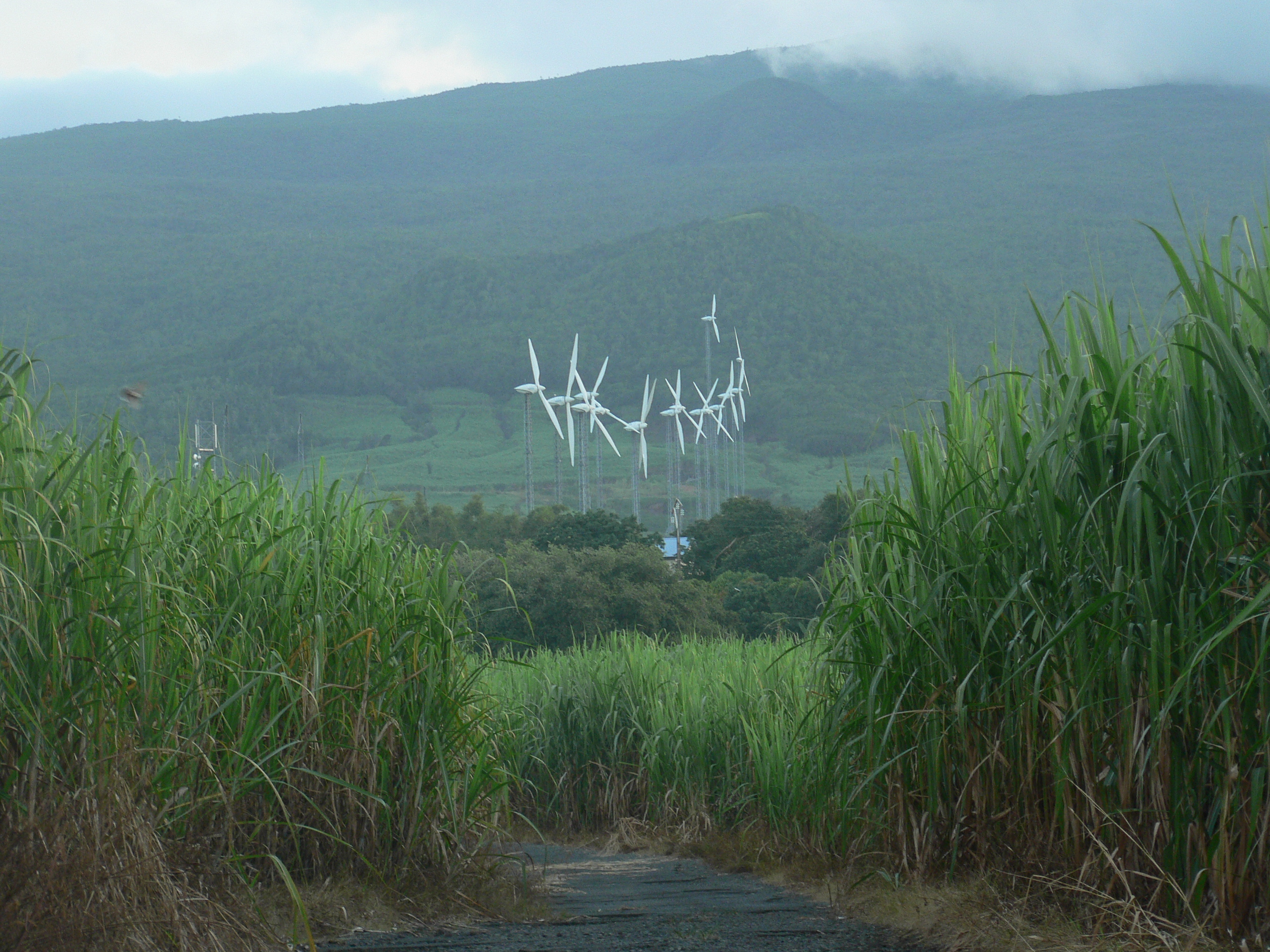 Montagne avec éoliennes